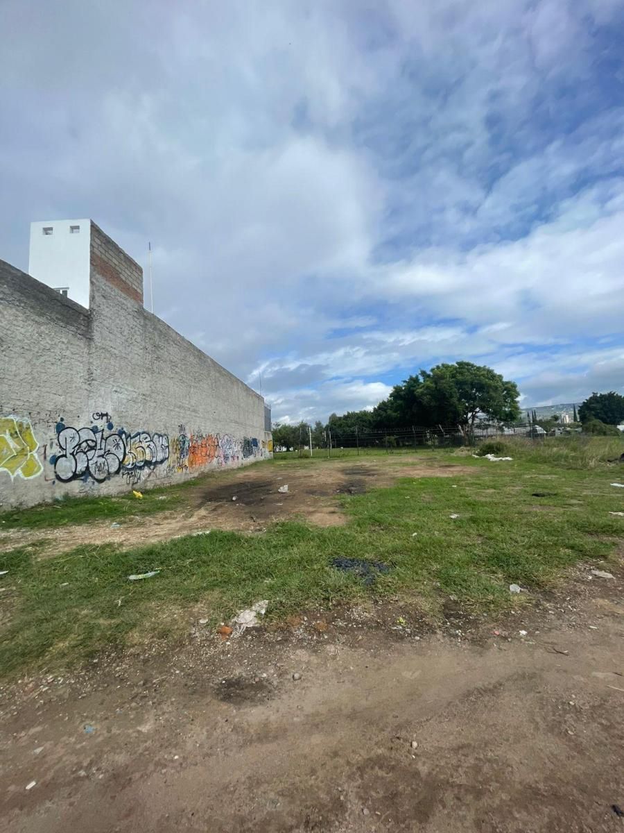 5 de 6
