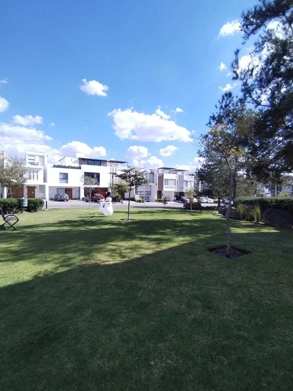 2 de 7