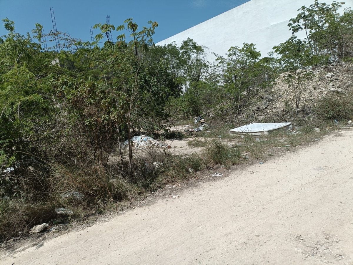 4 de 5