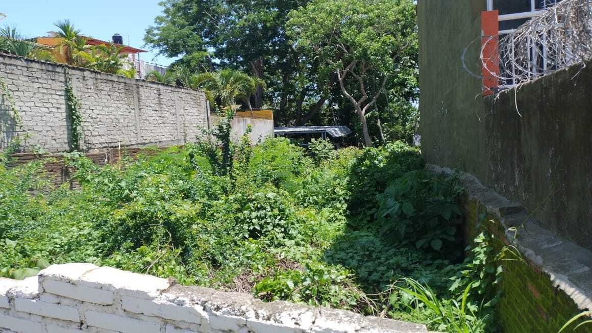 4 de 8