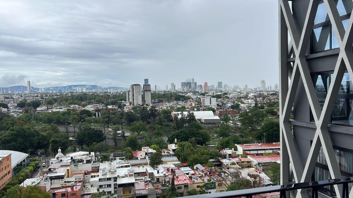 11 de 21