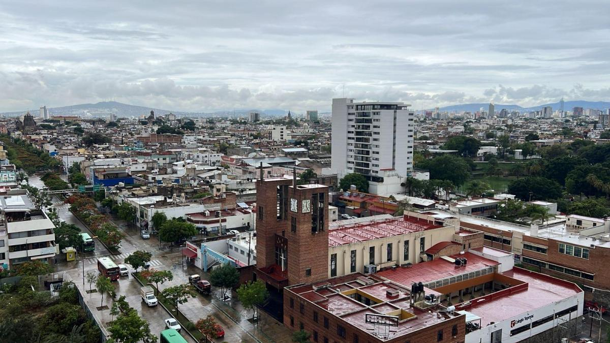 12 de 21