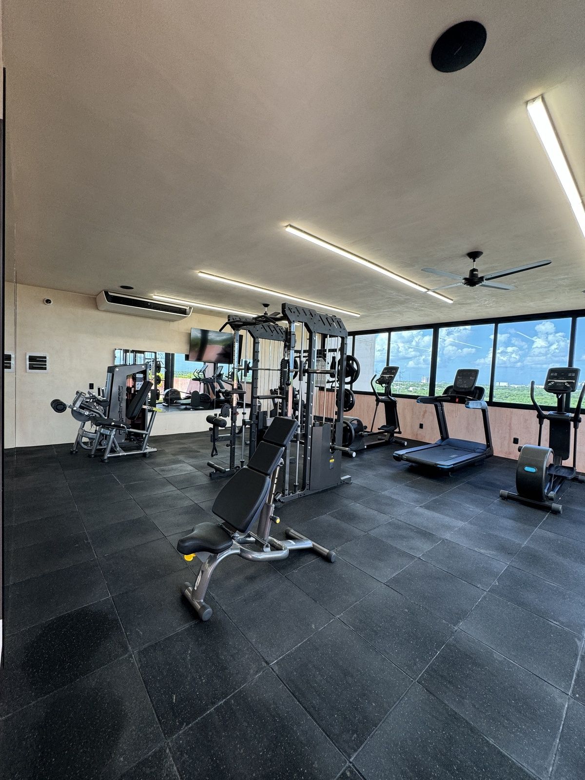 24 de 41: Gym