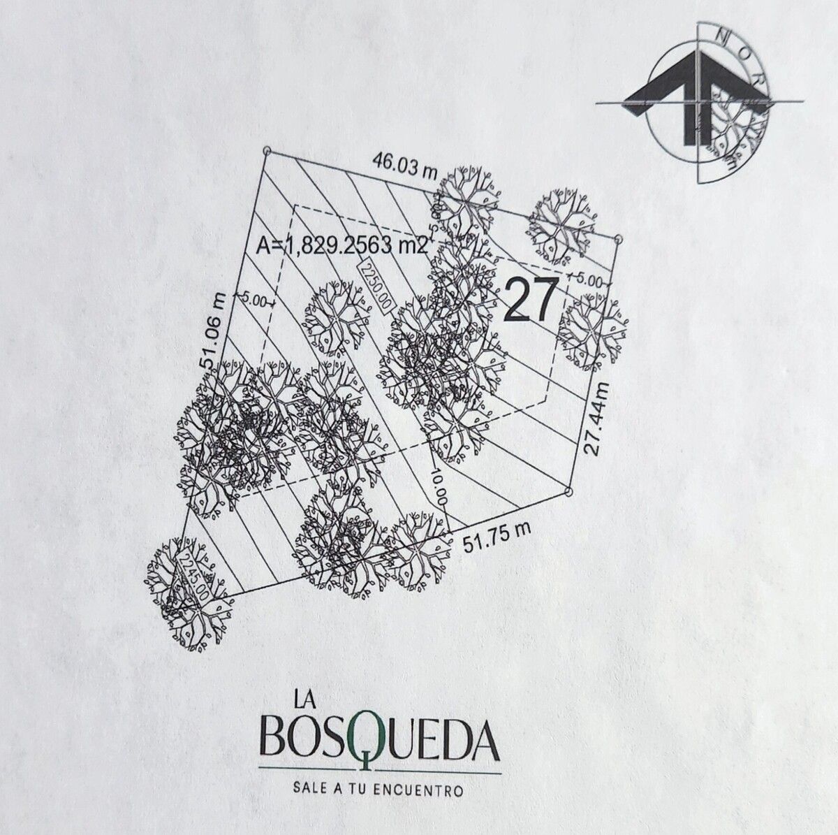 2 de 12