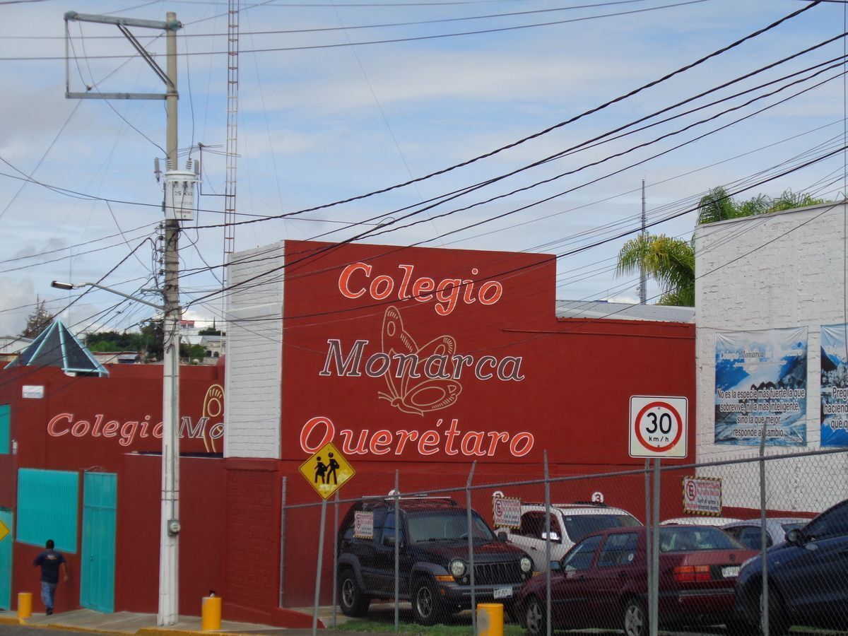 6 de 9