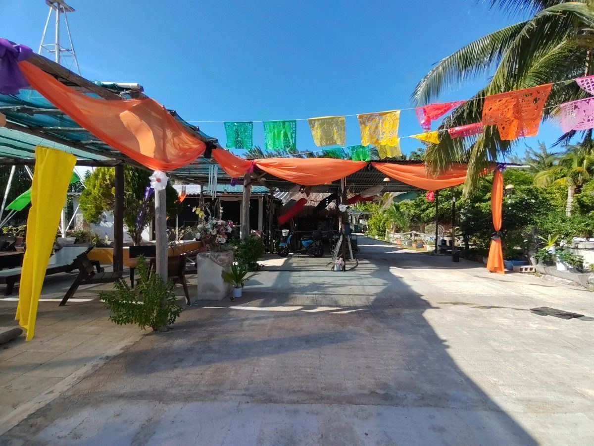 3 de 19