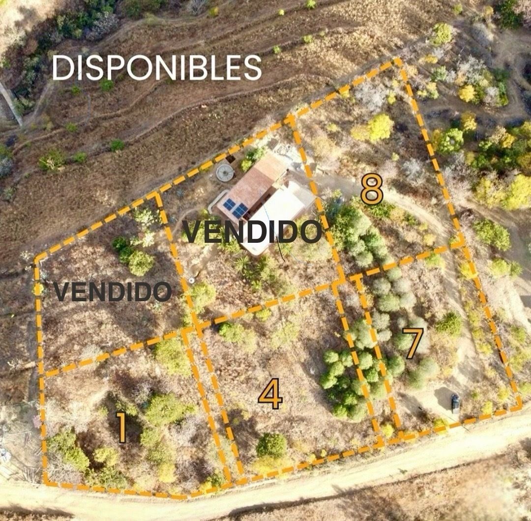 1 de 13