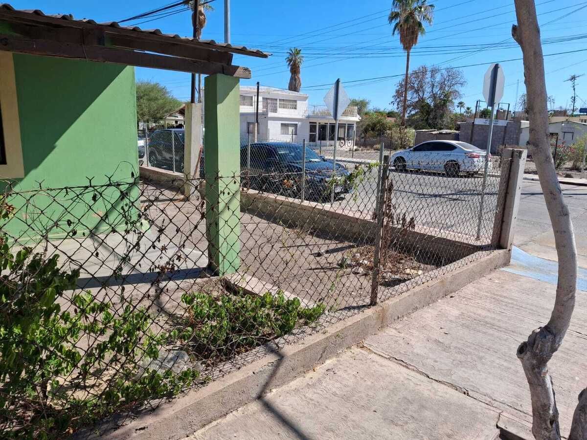 1 de 13