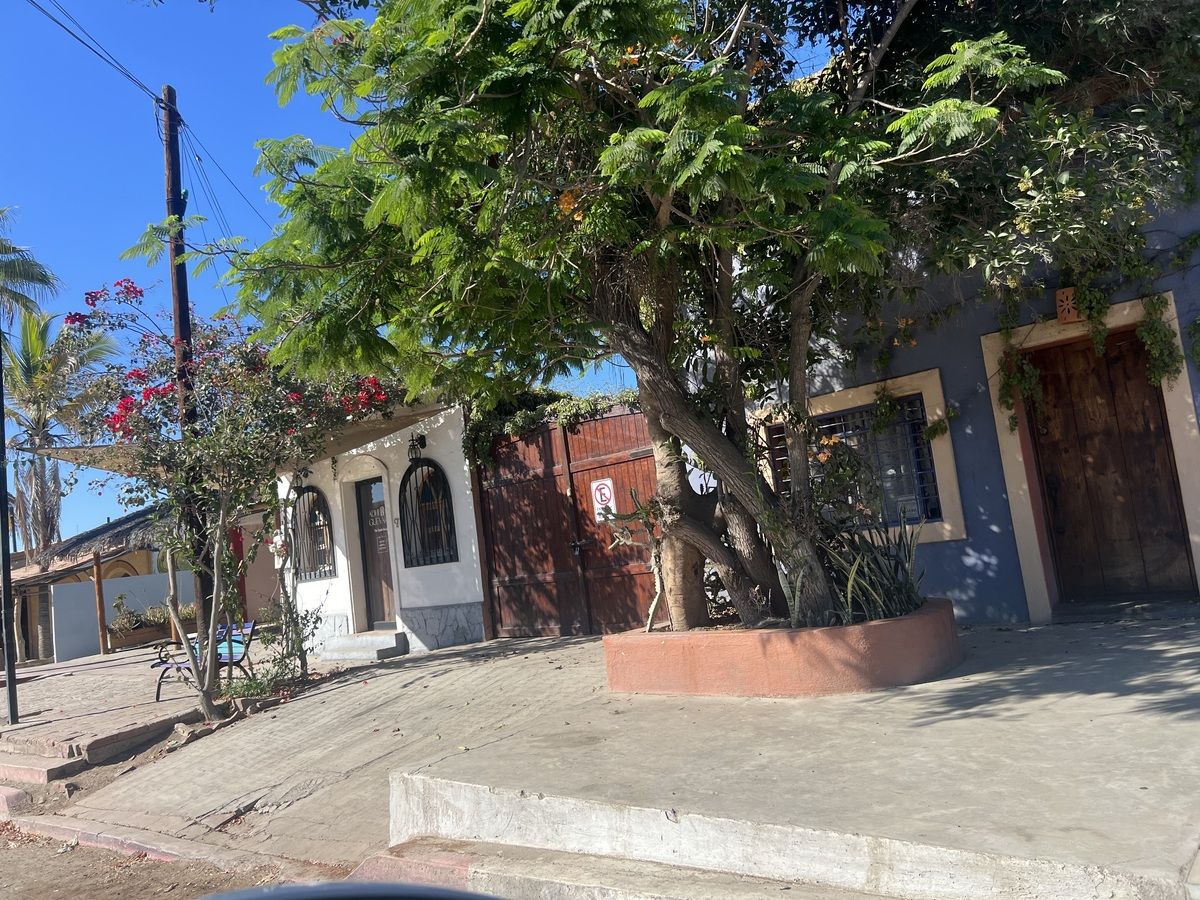 9 de 9