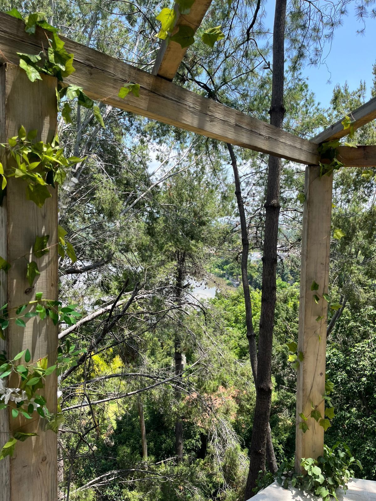 14 de 26