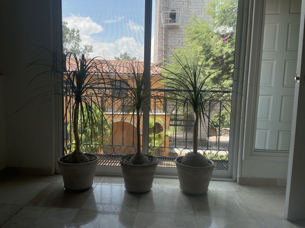 25 de 26