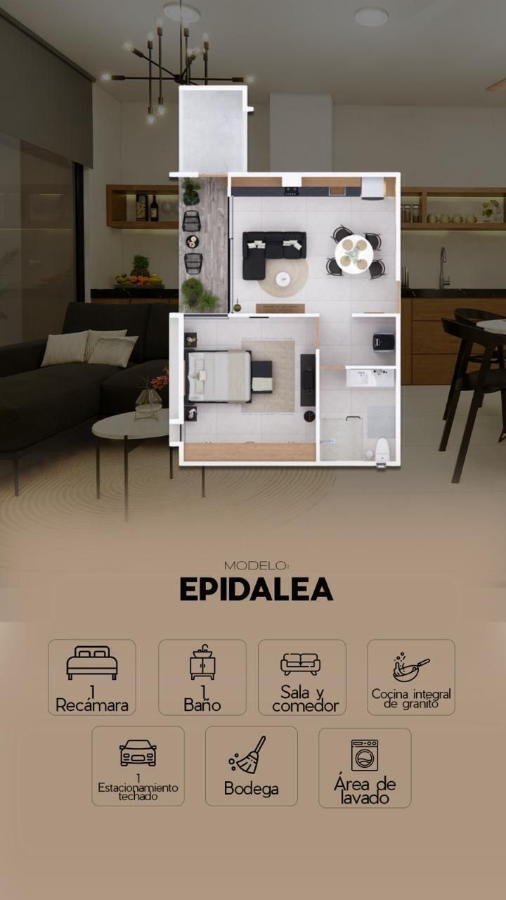 9 de 12