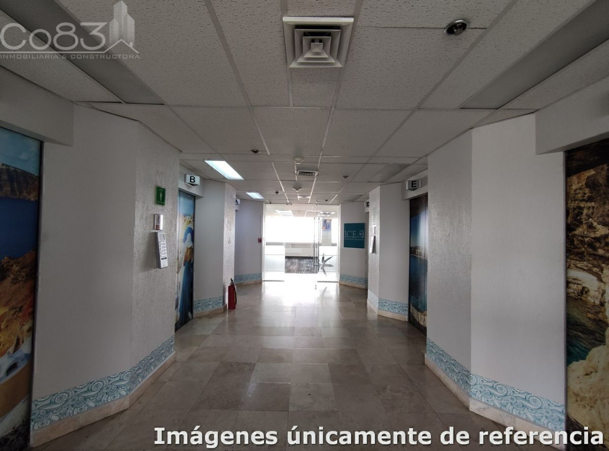 4 de 14