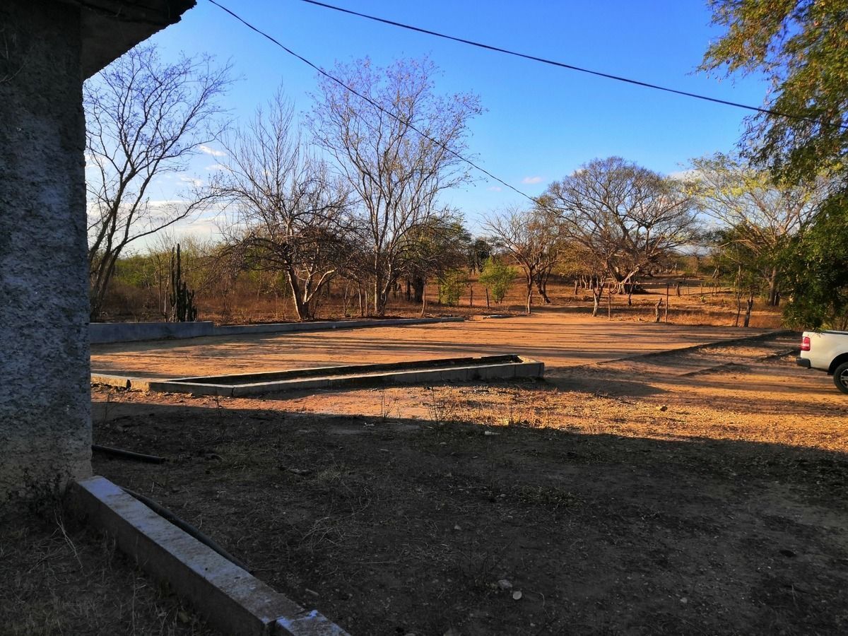 17 de 28