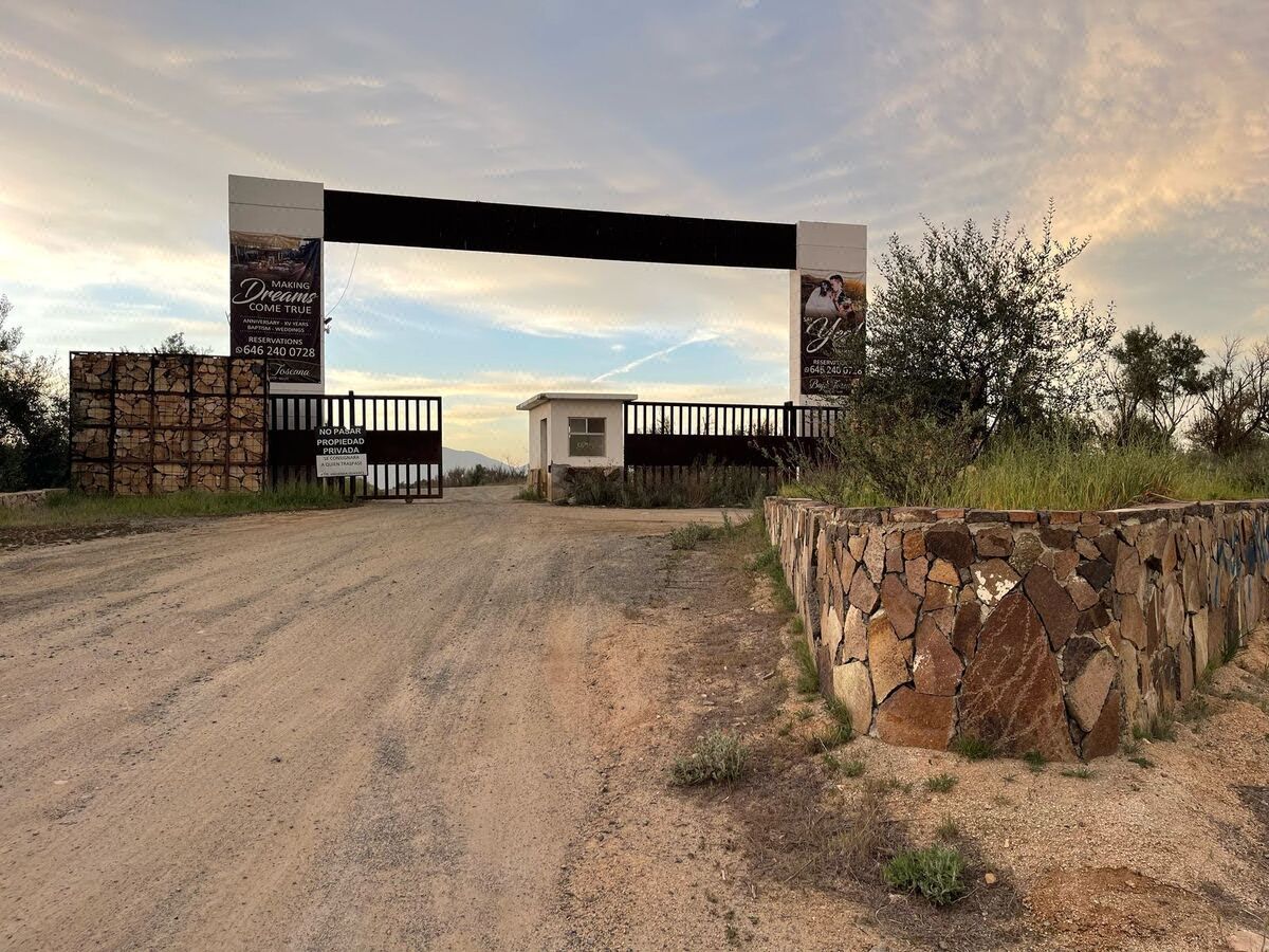 Venta de 1.5 Hectáreas Rodeado de Arboles de Olivo, en Valle de Guadalupe