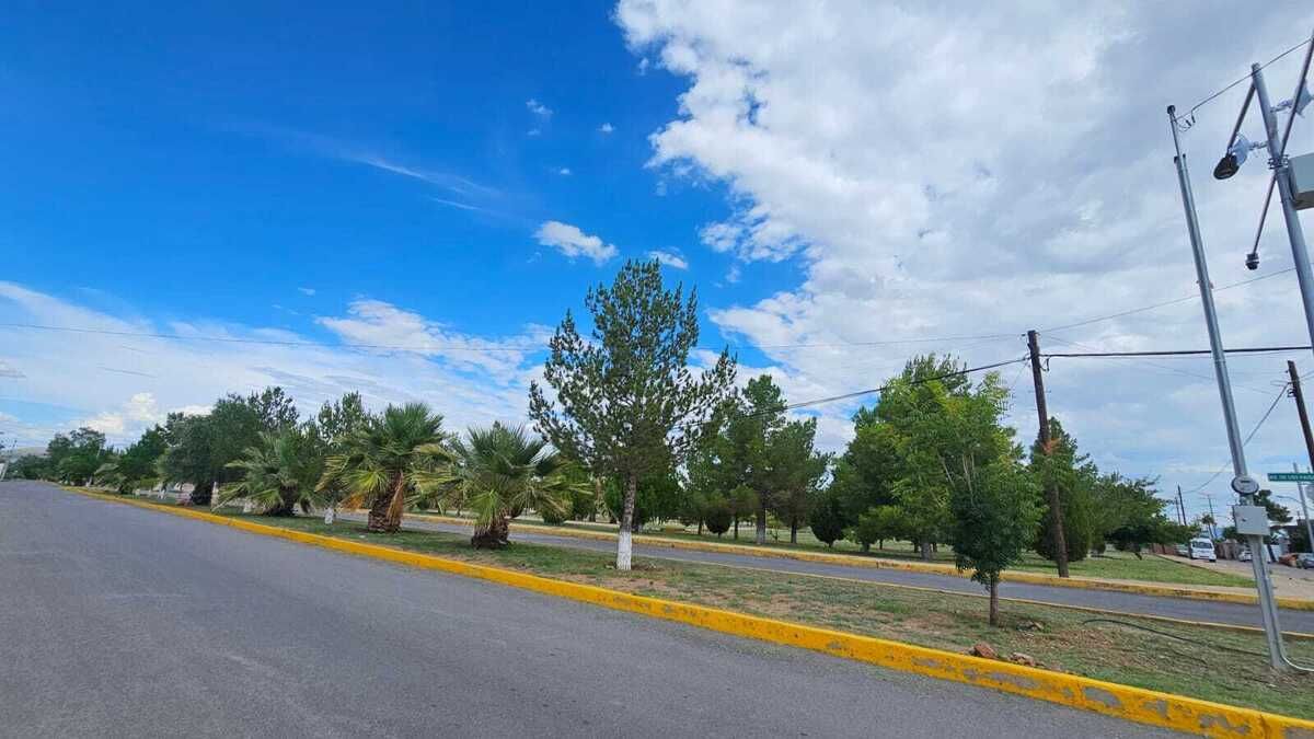 5 de 13
