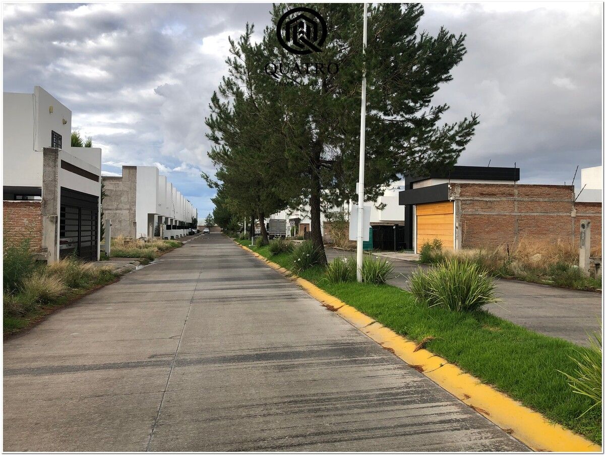 5 de 8