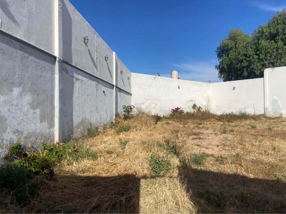 1 de 6