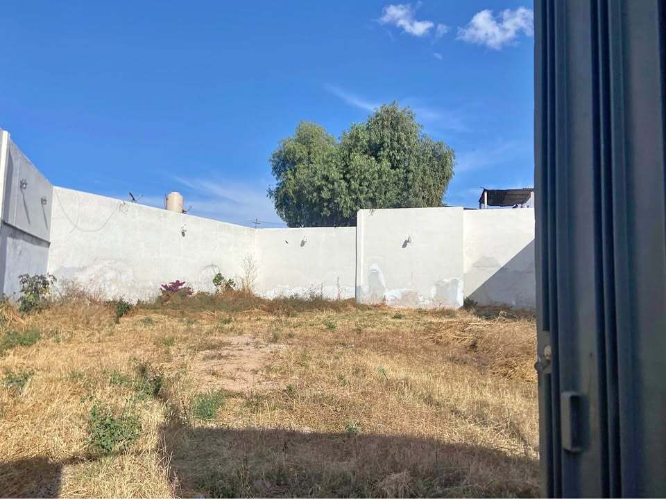 3 de 6