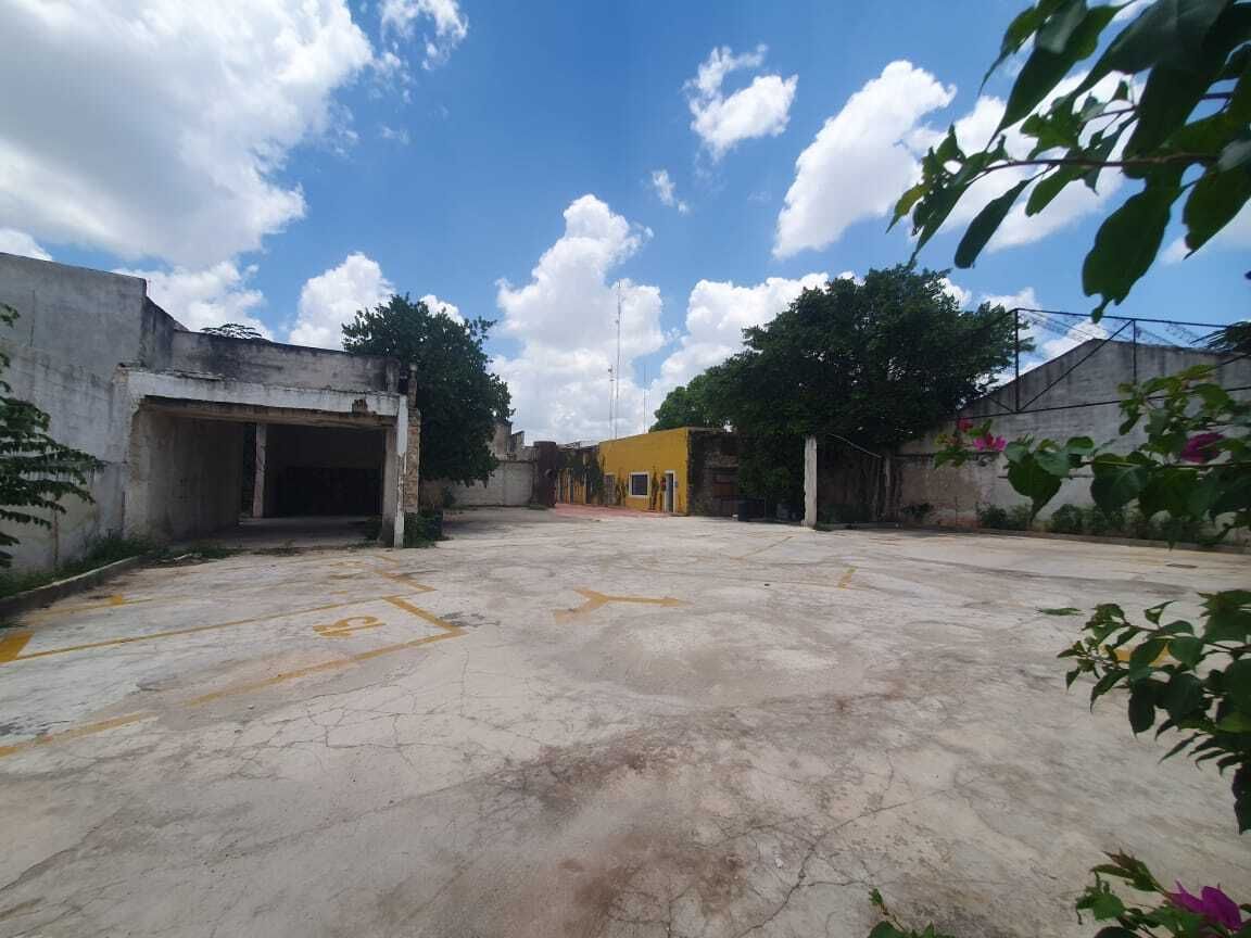 8 de 14