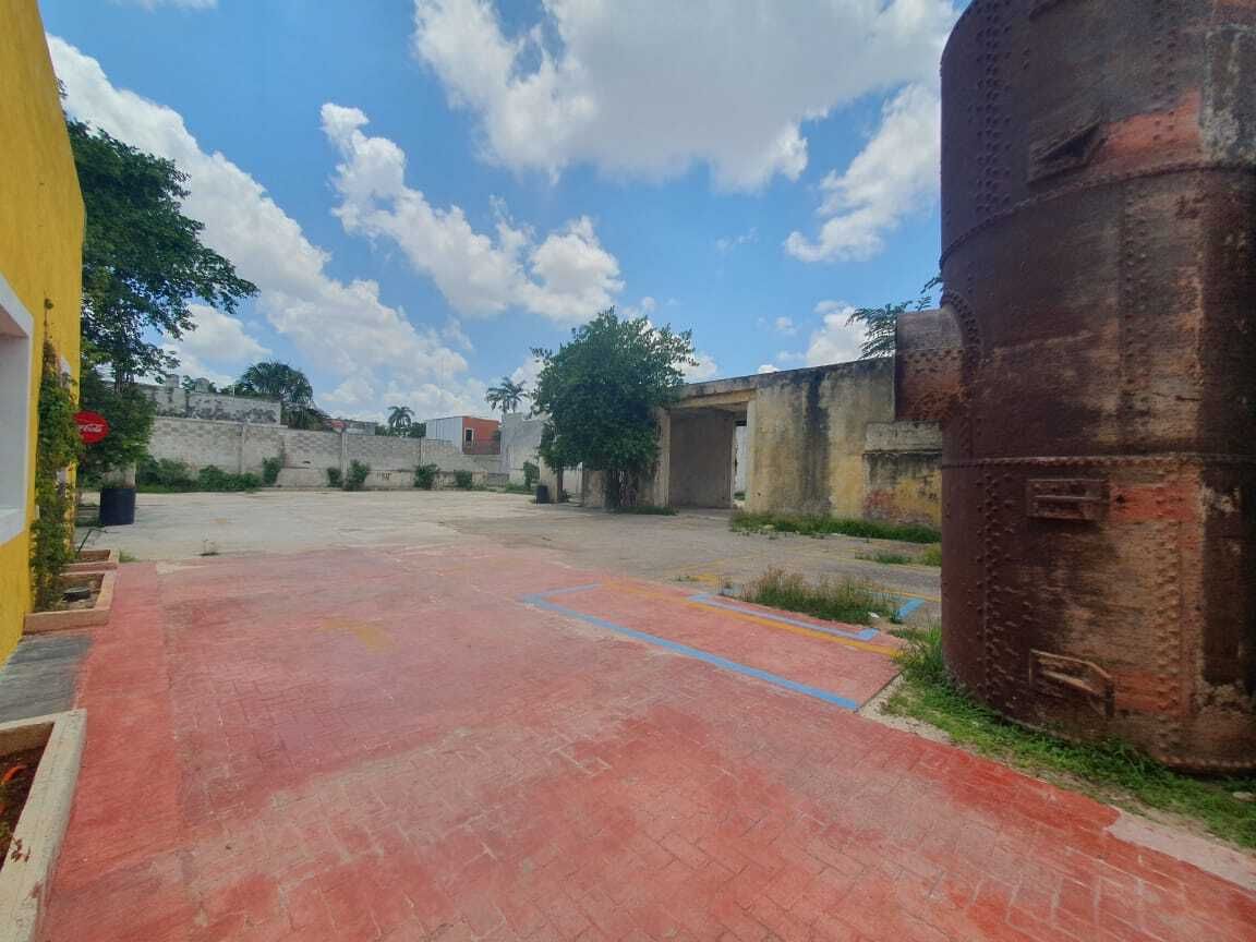 7 de 14