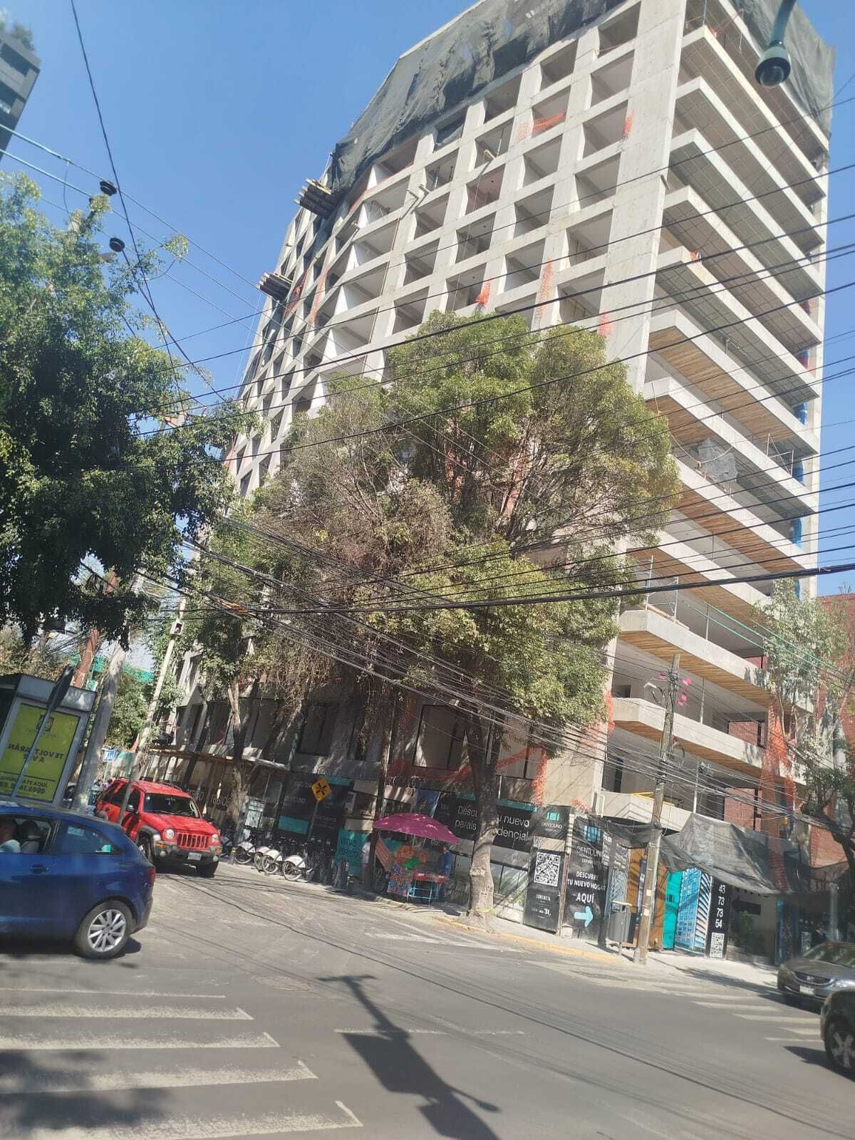 3 de 14