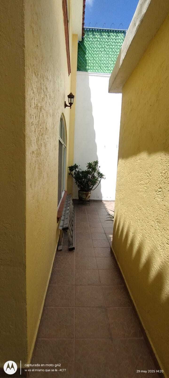 19 of 26: patio