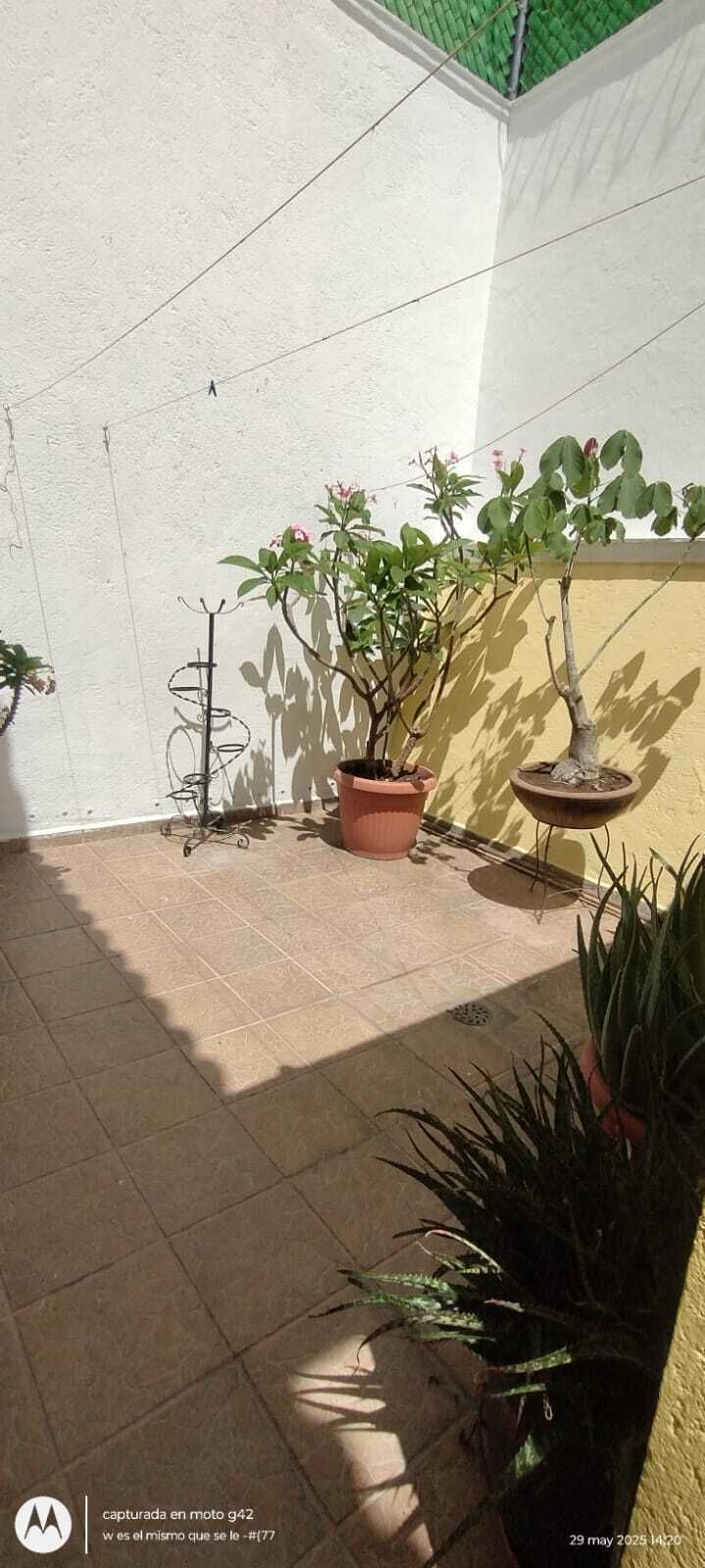 18 of 26: ´patio