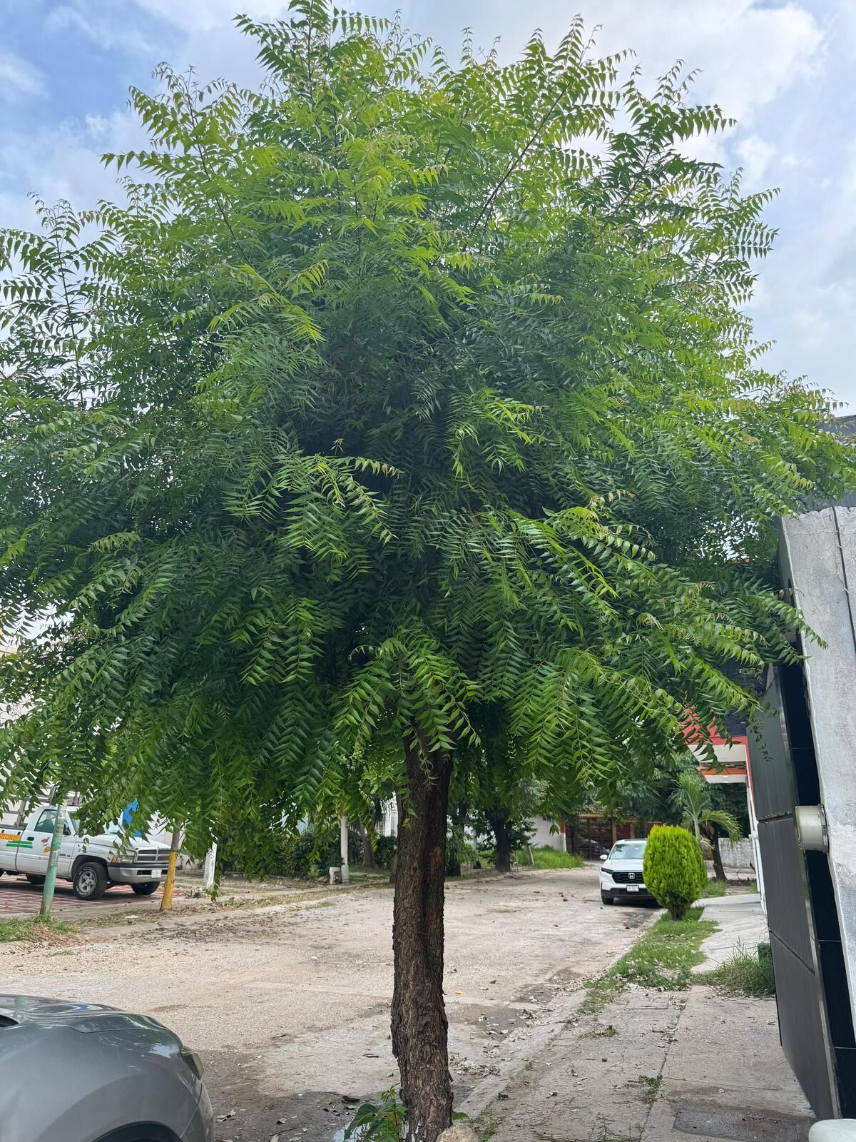 16 de 16