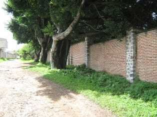 3 de 5