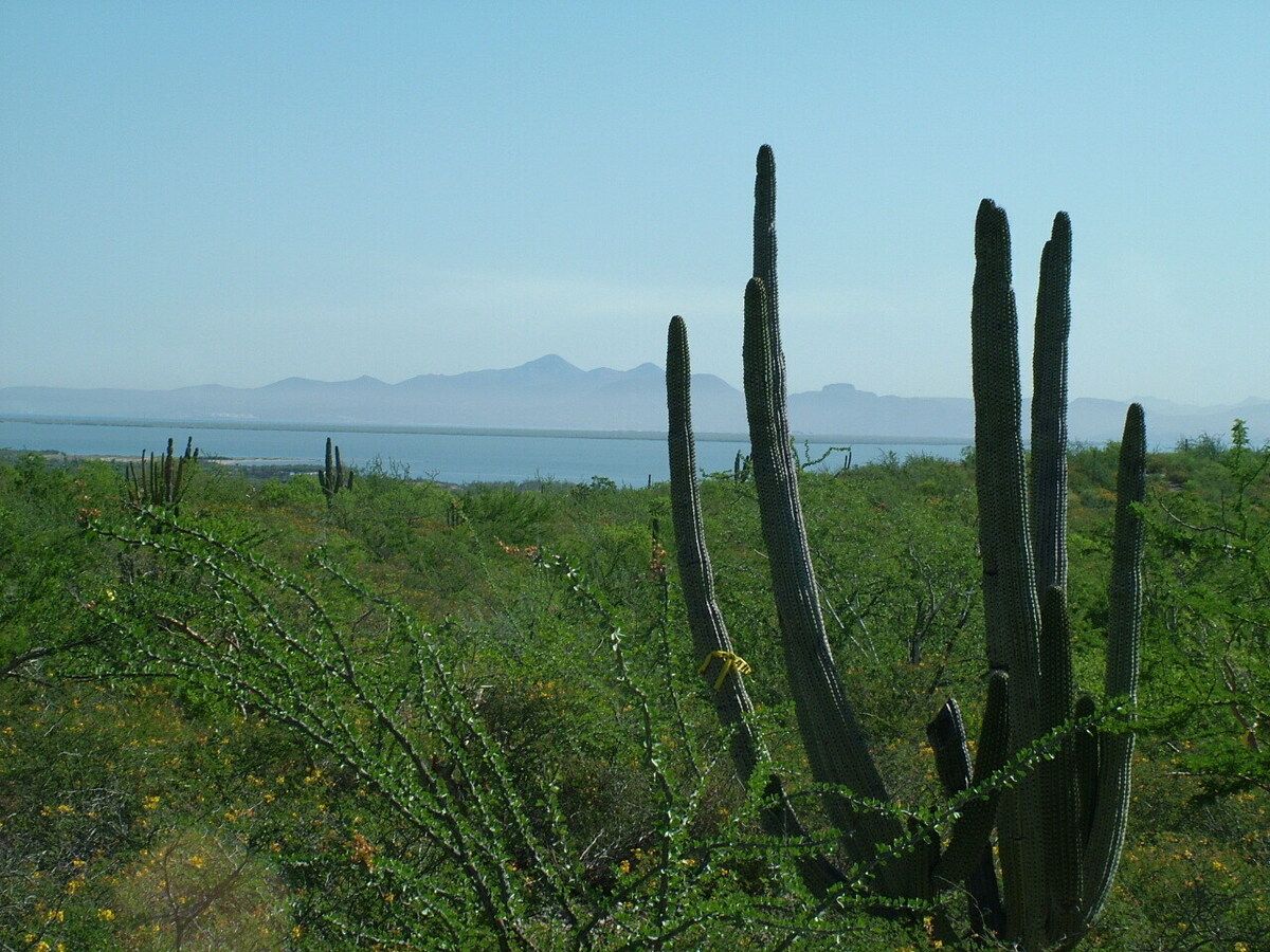 6 de 11