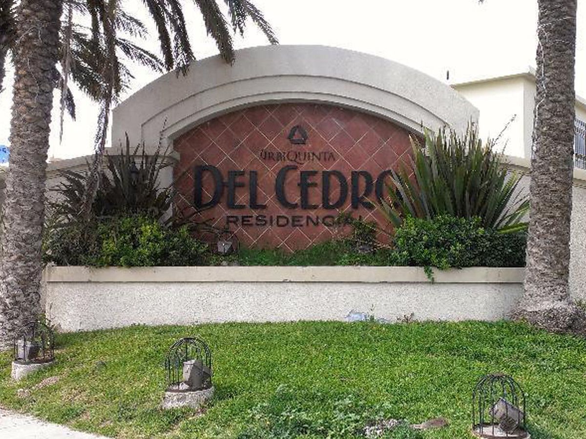 2 de 24