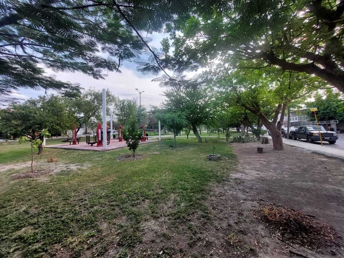 3 de 14