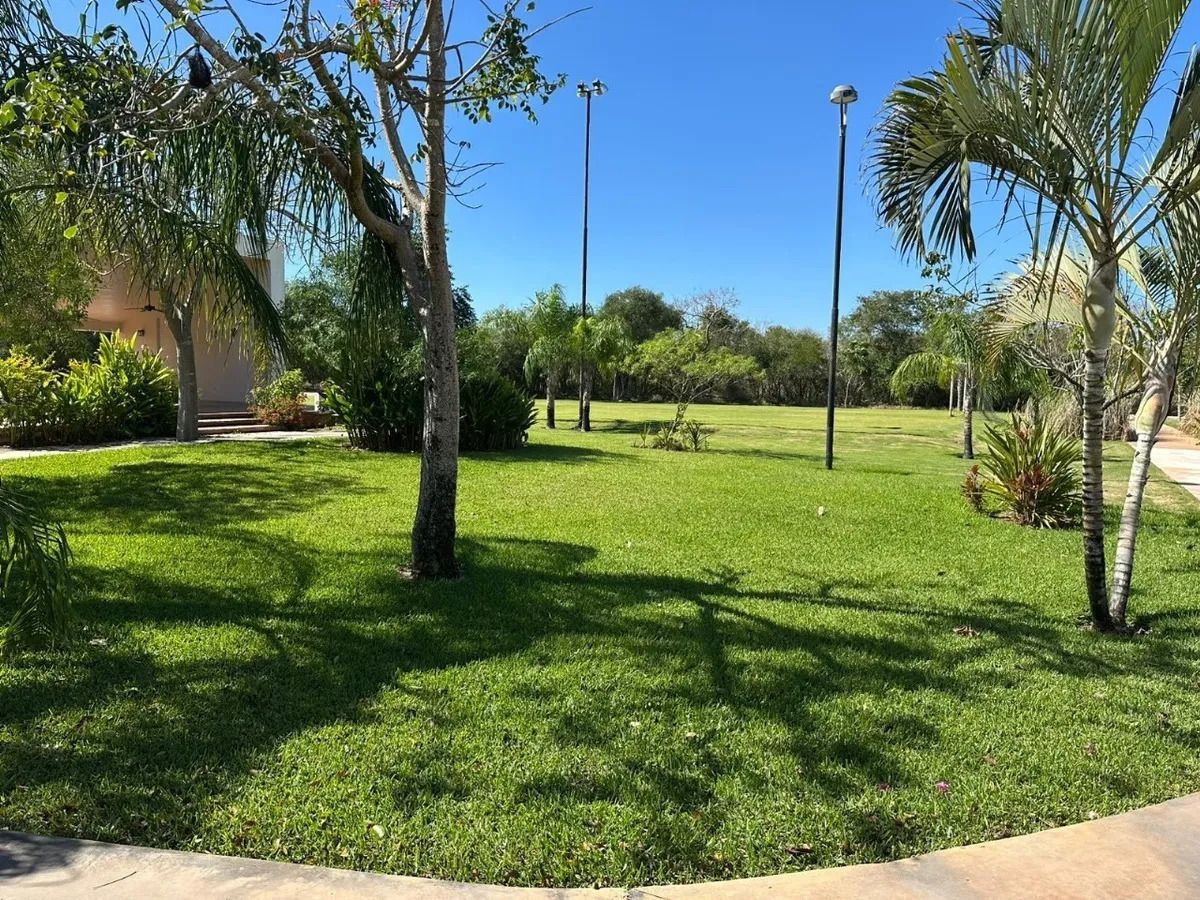5 de 10