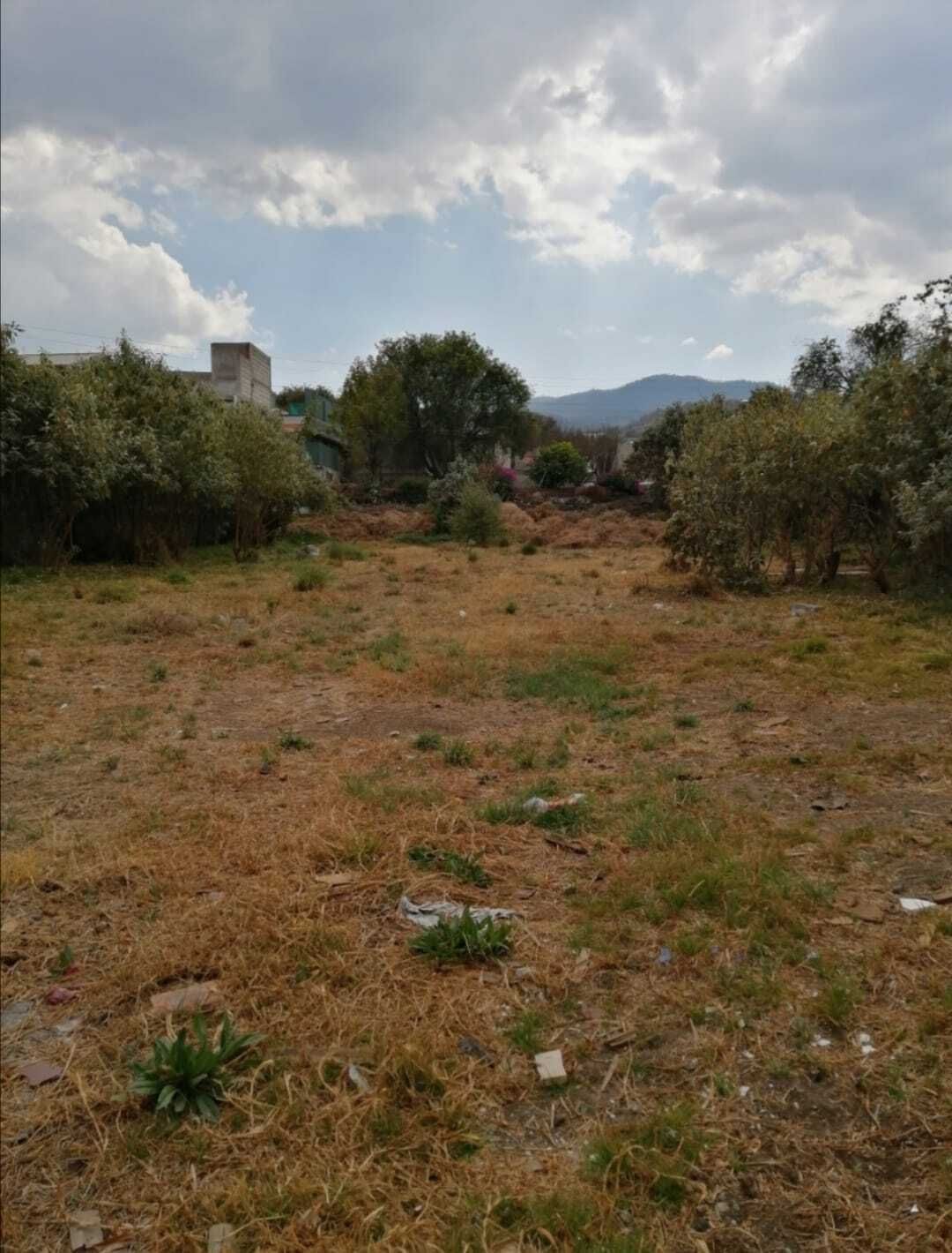 3 de 3
