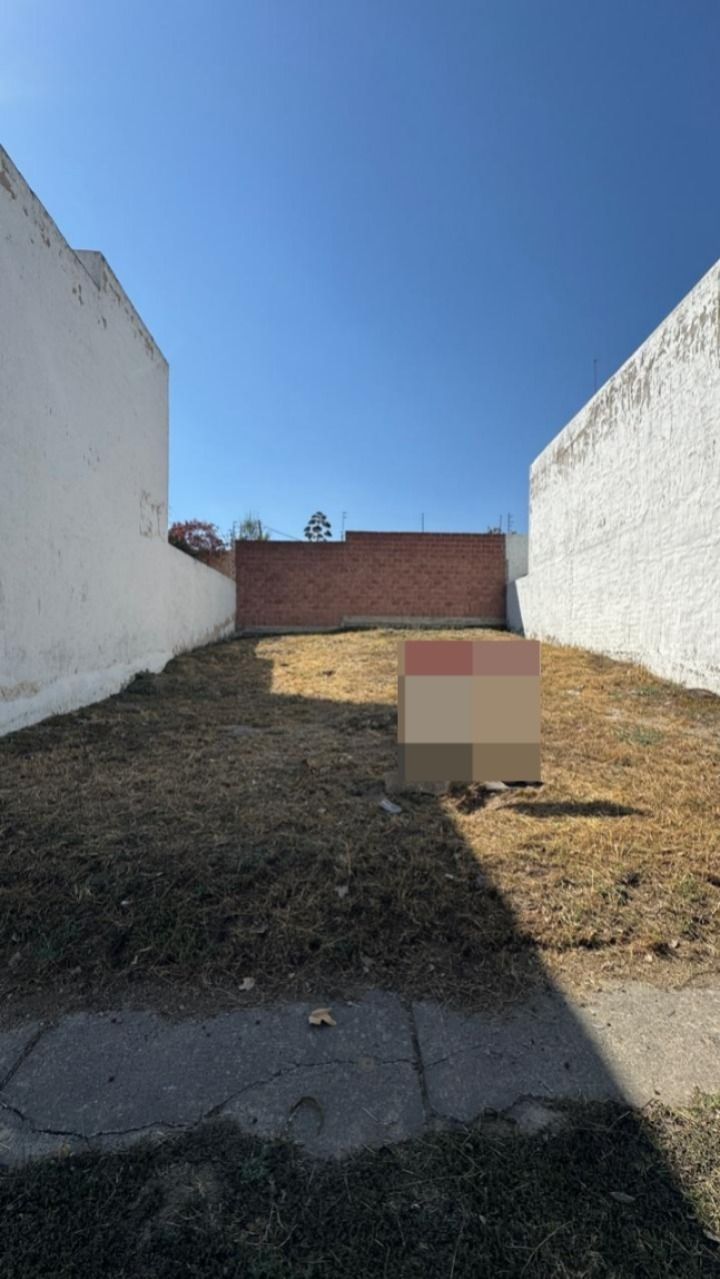 1 de 7