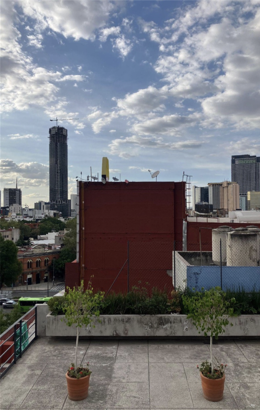 6 de 19