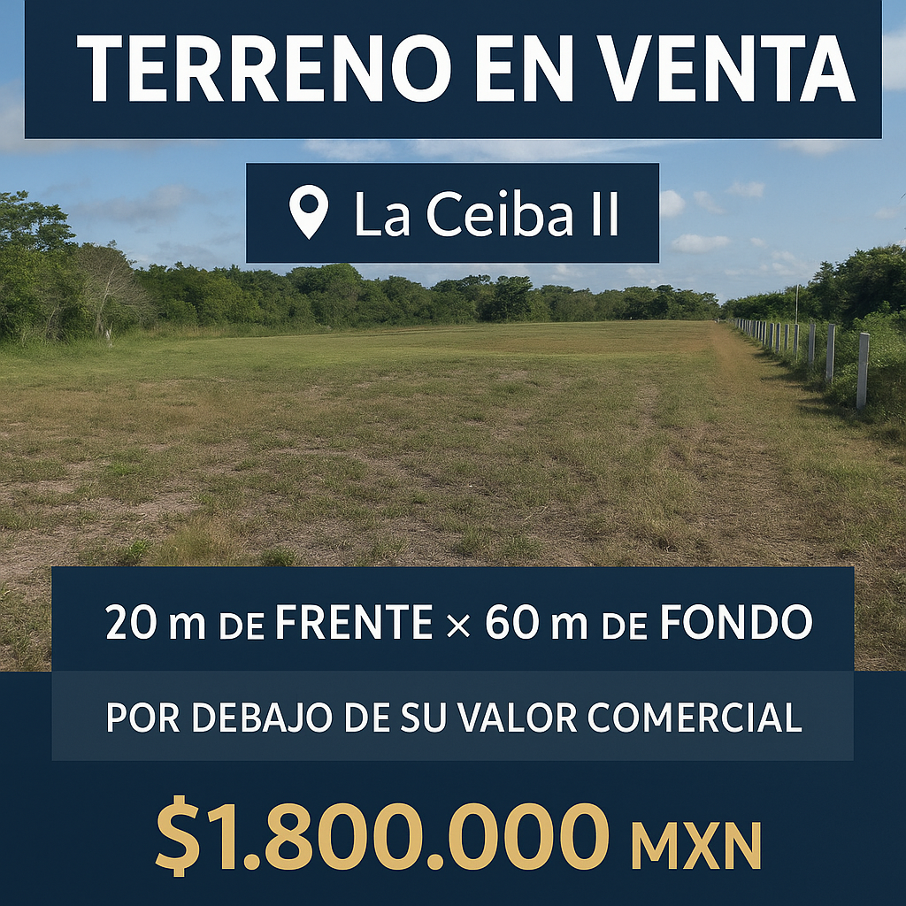 1 de 2