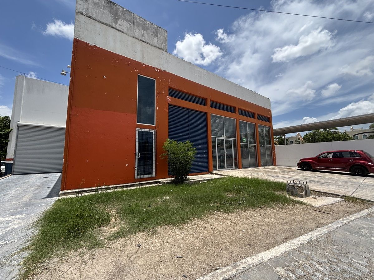 3 de 24