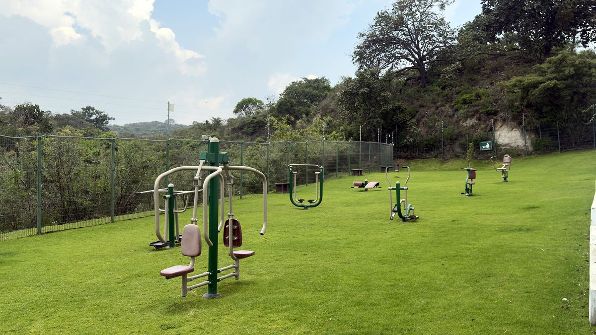 25 de 36
