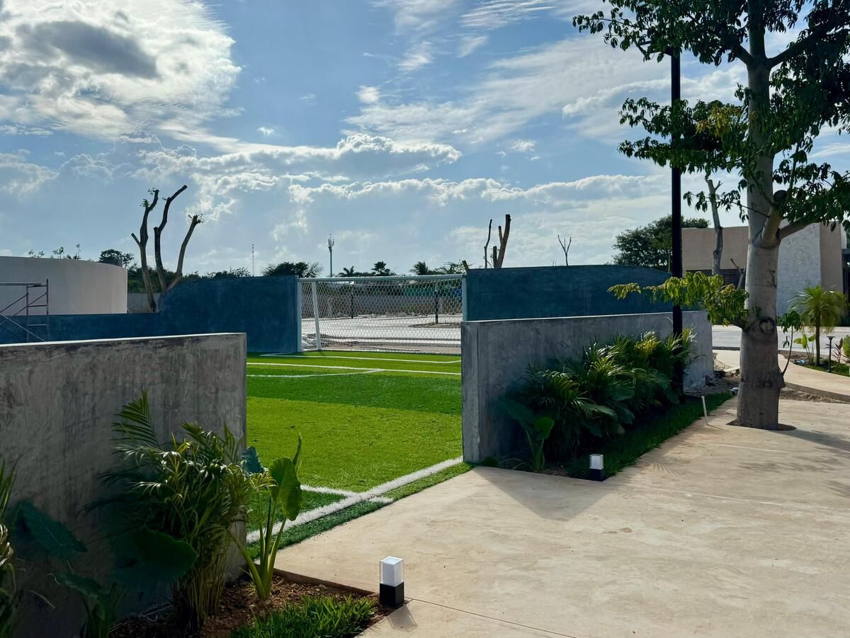 19 de 43