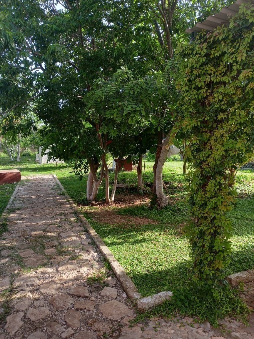 1 de 21