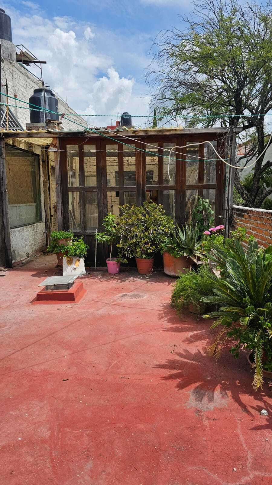 Imagen 3 de 5