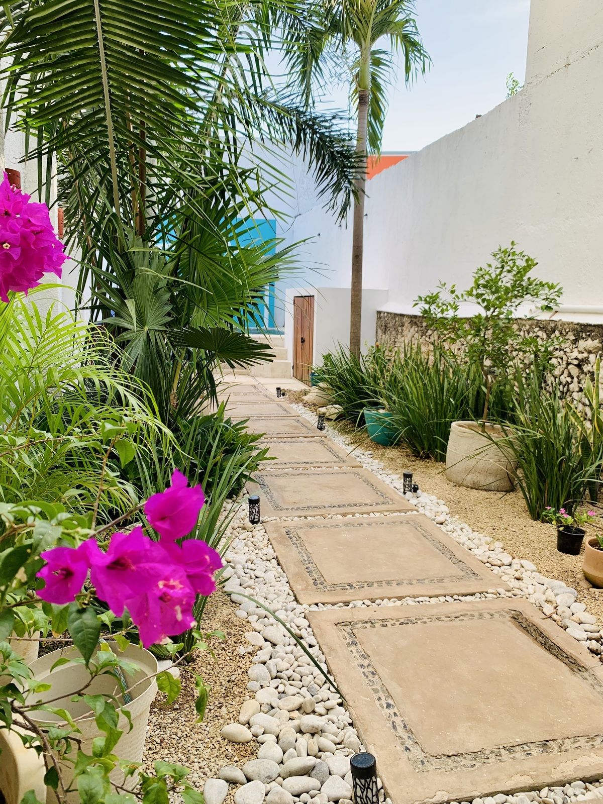 1 of 26: Jardin trasero