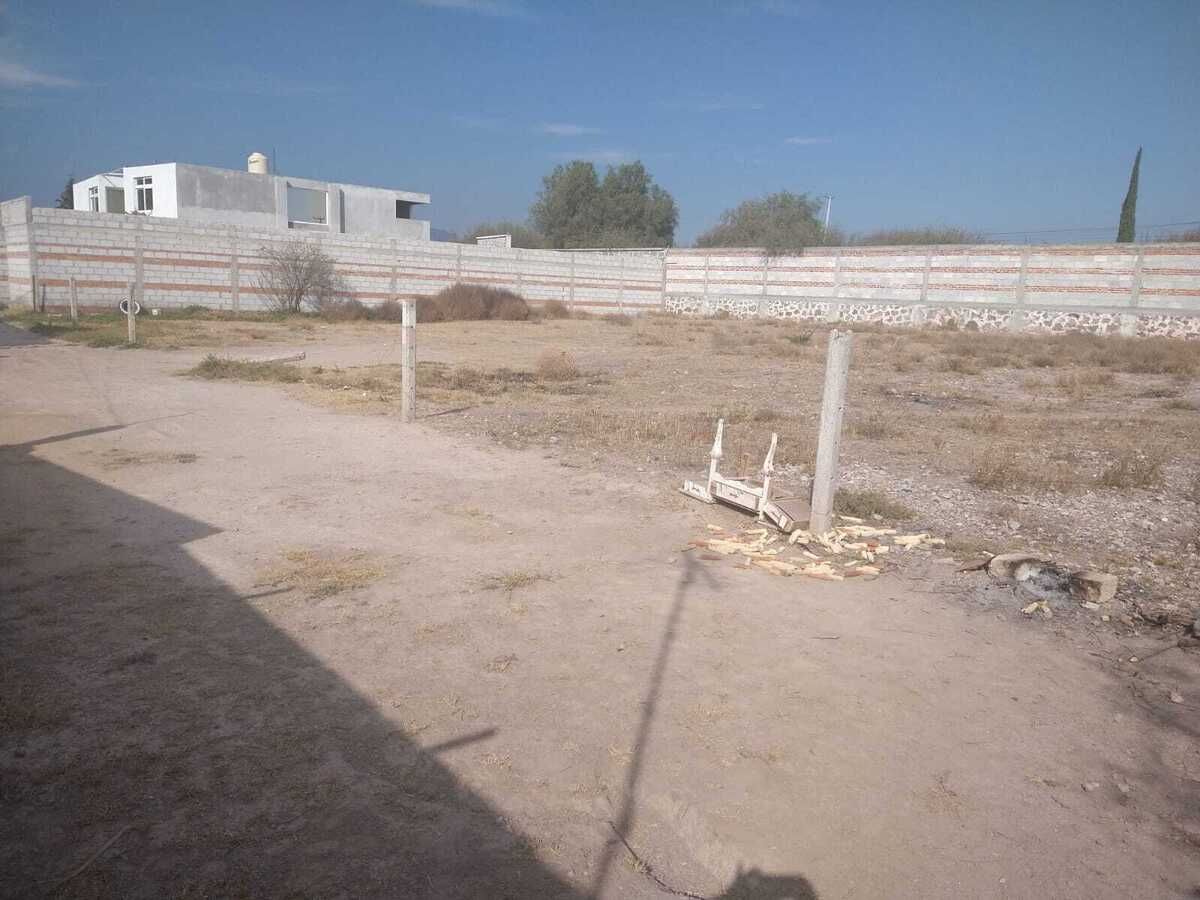 3 de 6