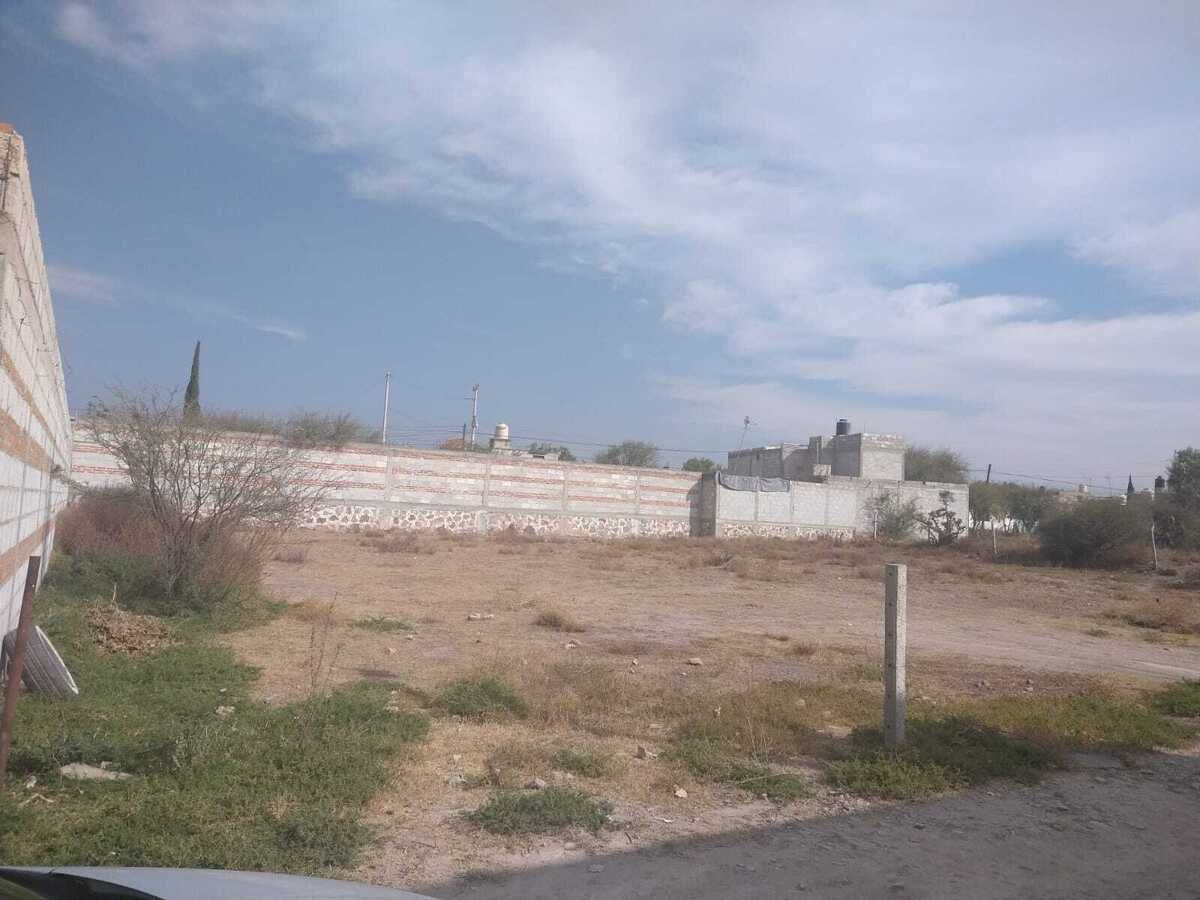 5 de 6