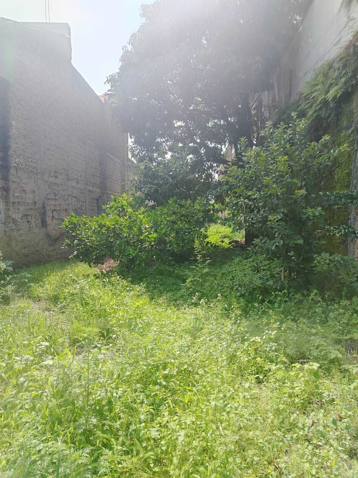 3 de 6