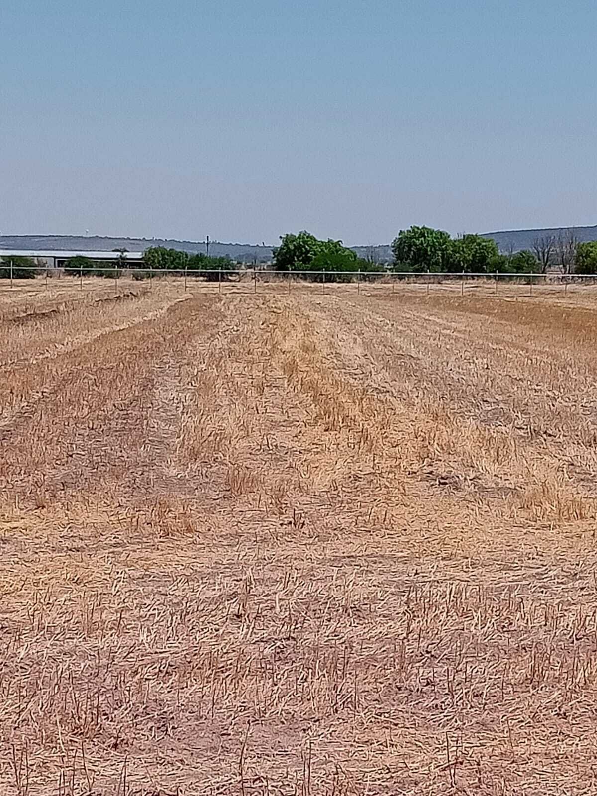 5 de 10
