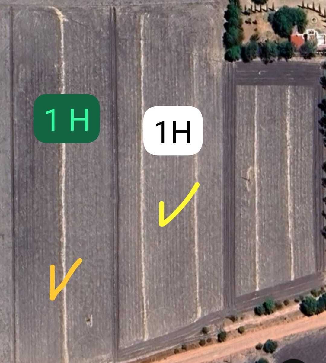 7 de 10