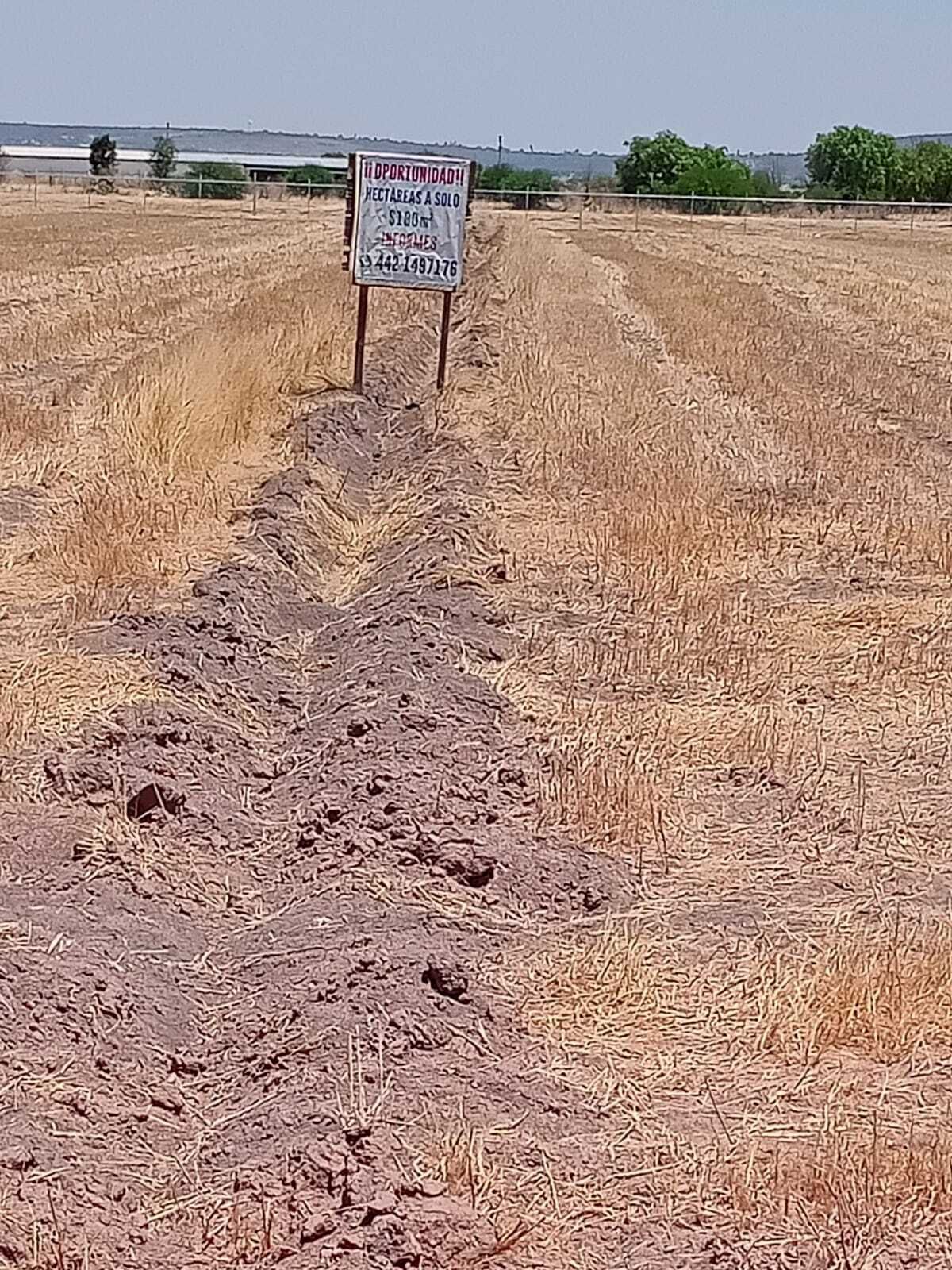 8 de 10